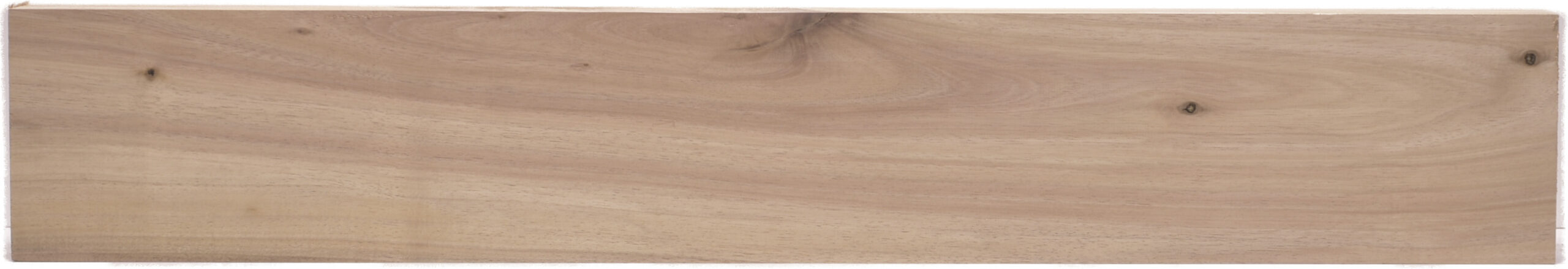 171707_1 Acacia Hand-Pick